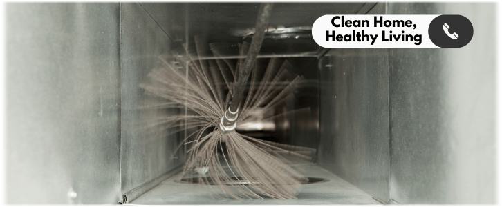 Air Duct Mold Removal in The Woodlands