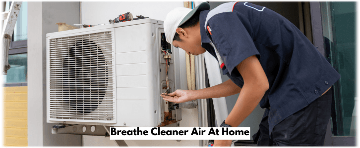HVAC Mold Removal The Woodlands